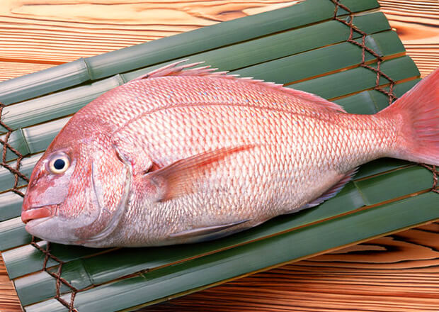 鯛素材