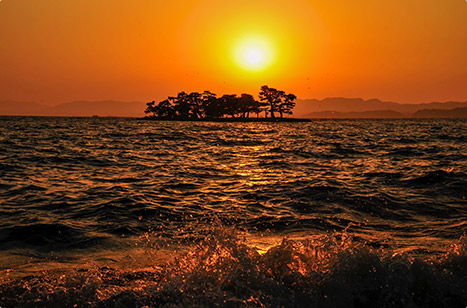 夏