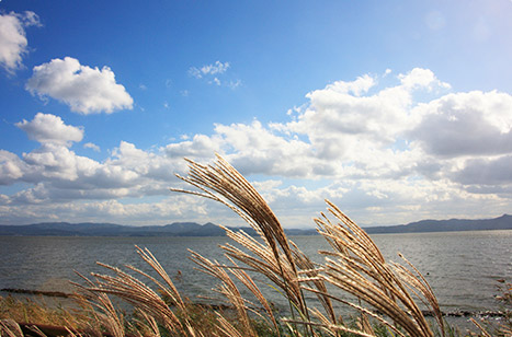 冬